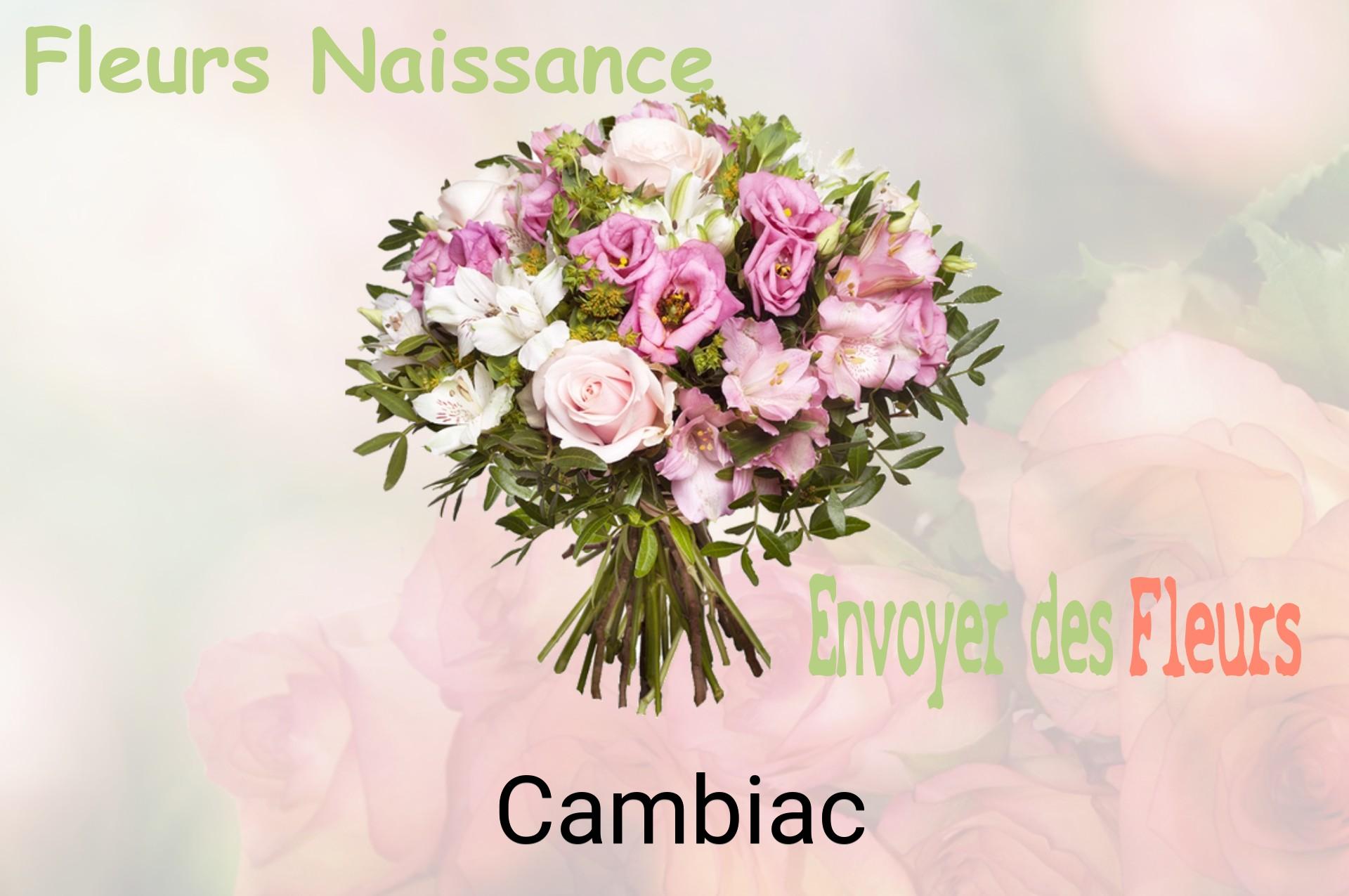 Bouquet de fleurs de naissance livré à Cambiac